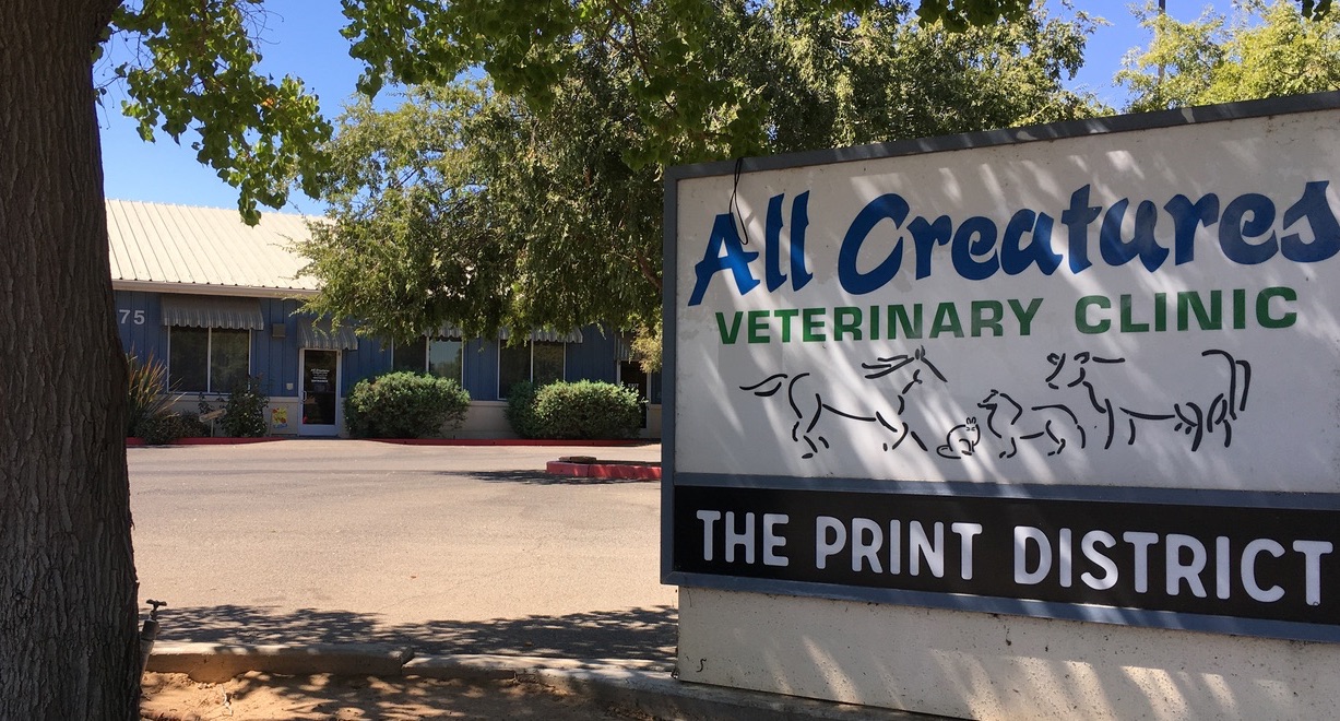 All creatures sale vet clinic